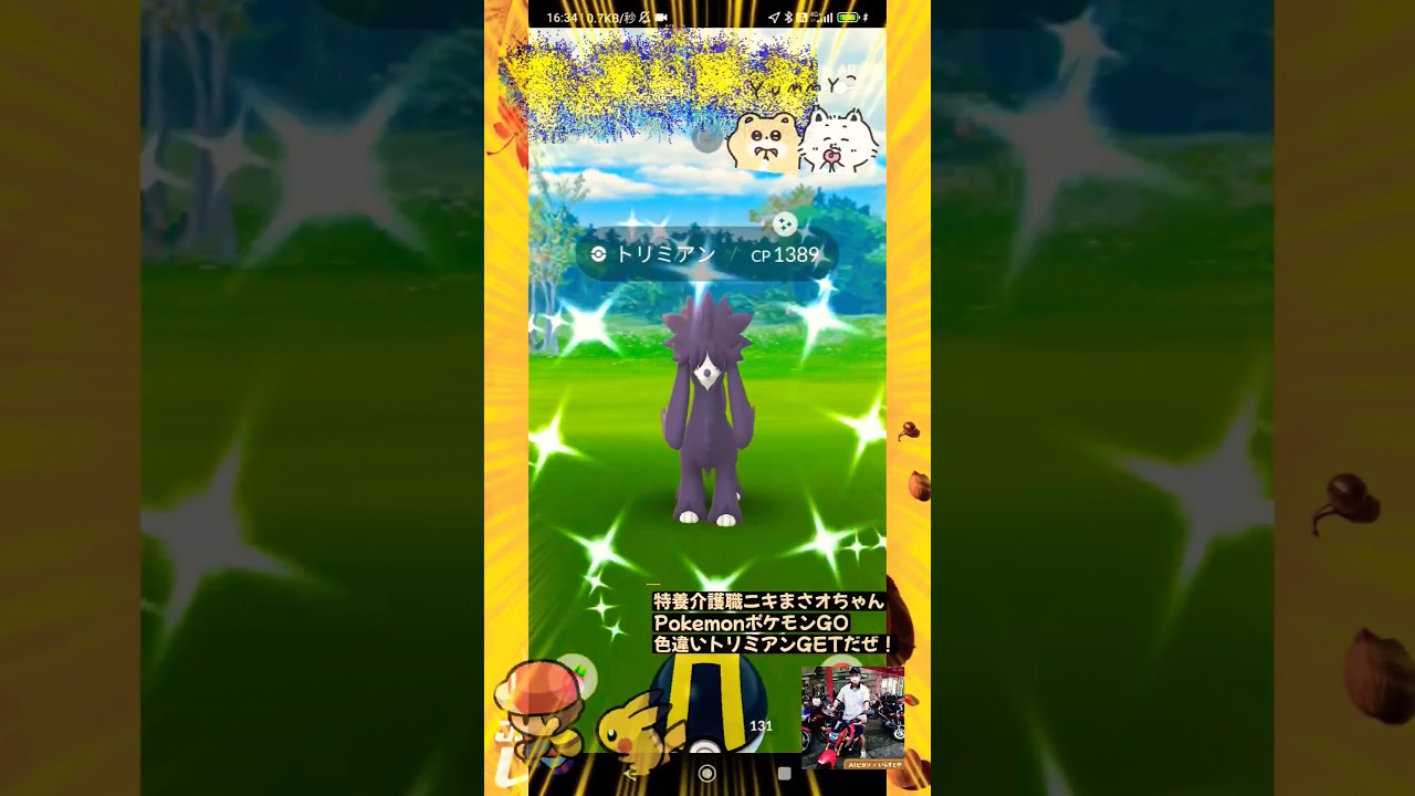 【Pokémon GO】なんとか色違いトリミアンGETだぜっ！！（feat.夜勤明けマクドのソフトクリーム美味い）しまむらでHUNTER×HUNTERメルエム×コムギ涙の軍儀チャーム