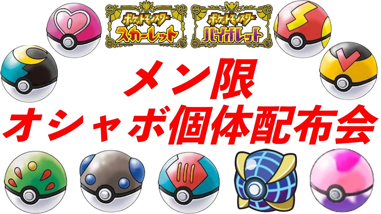 定期：メンバー様限定配布会