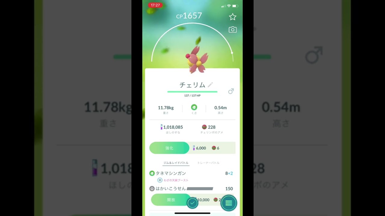 ポケモンGOでチェリム（ポジフォルム）をゲット！ #Shorts