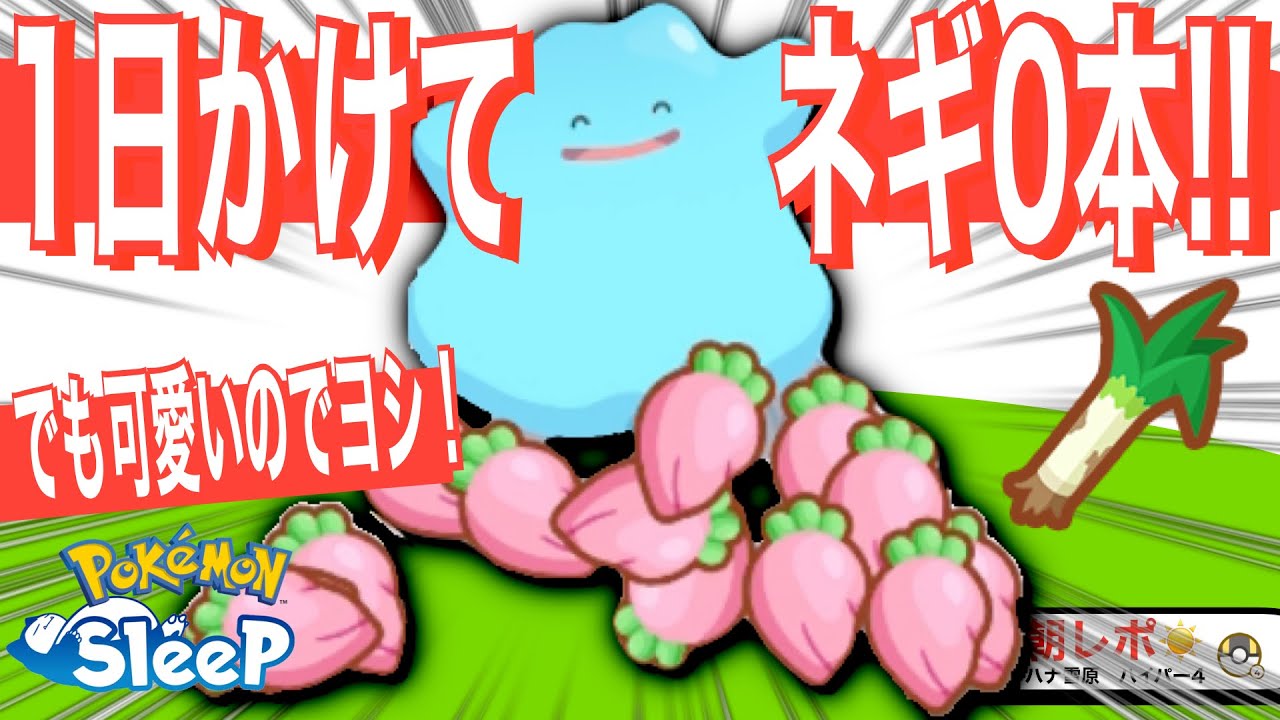 メタモンはあまり食材拾わない？でも可愛さ最強格！【ポケモンスリープ】