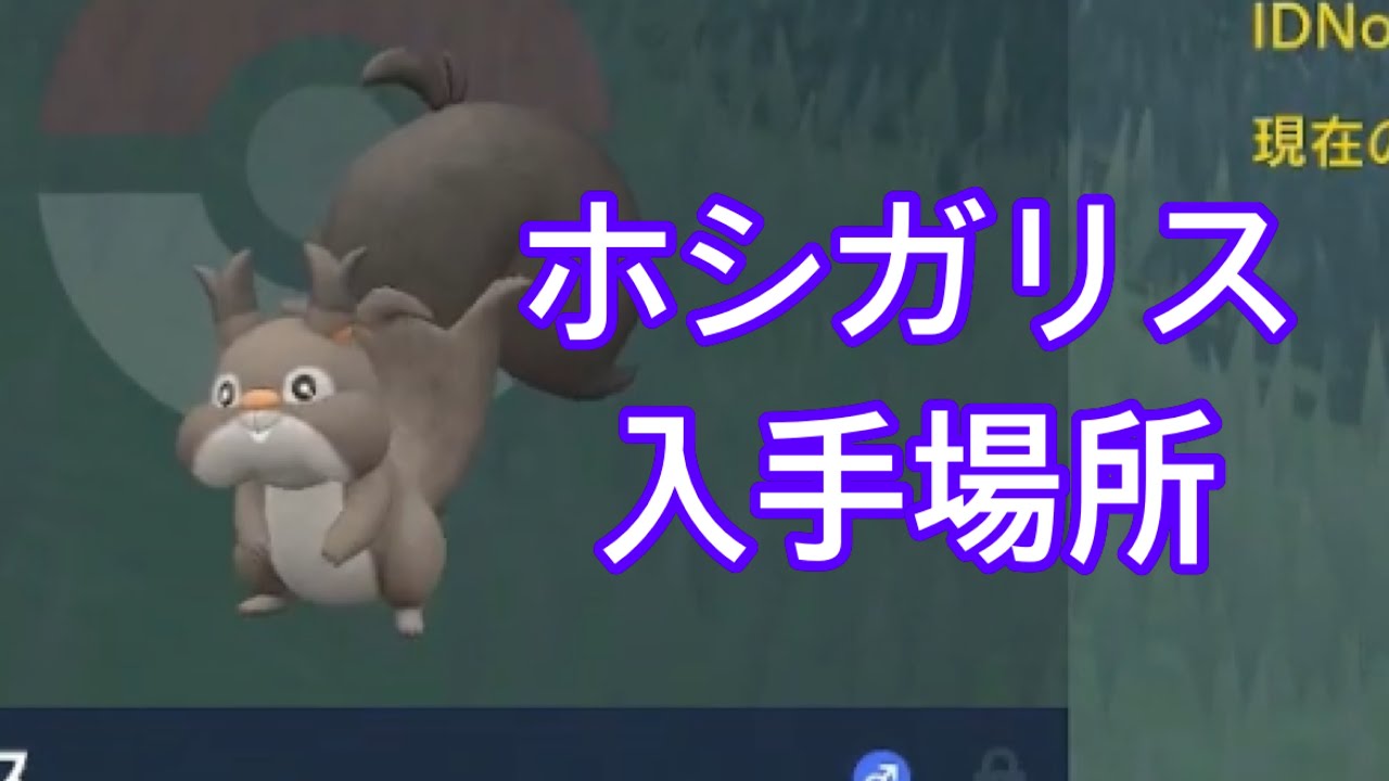 【ポケモンSV】【DLC】ホシガリス入手場所