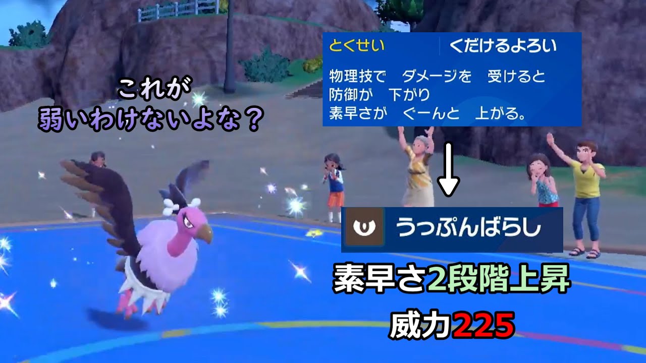 バルジーナのここが強い！【ポケモンSV】