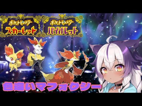 【ポケモンSV】色違いフォッコ → テールナー → マフォクシー【ポケットモンスタースカーレットバイオレット】