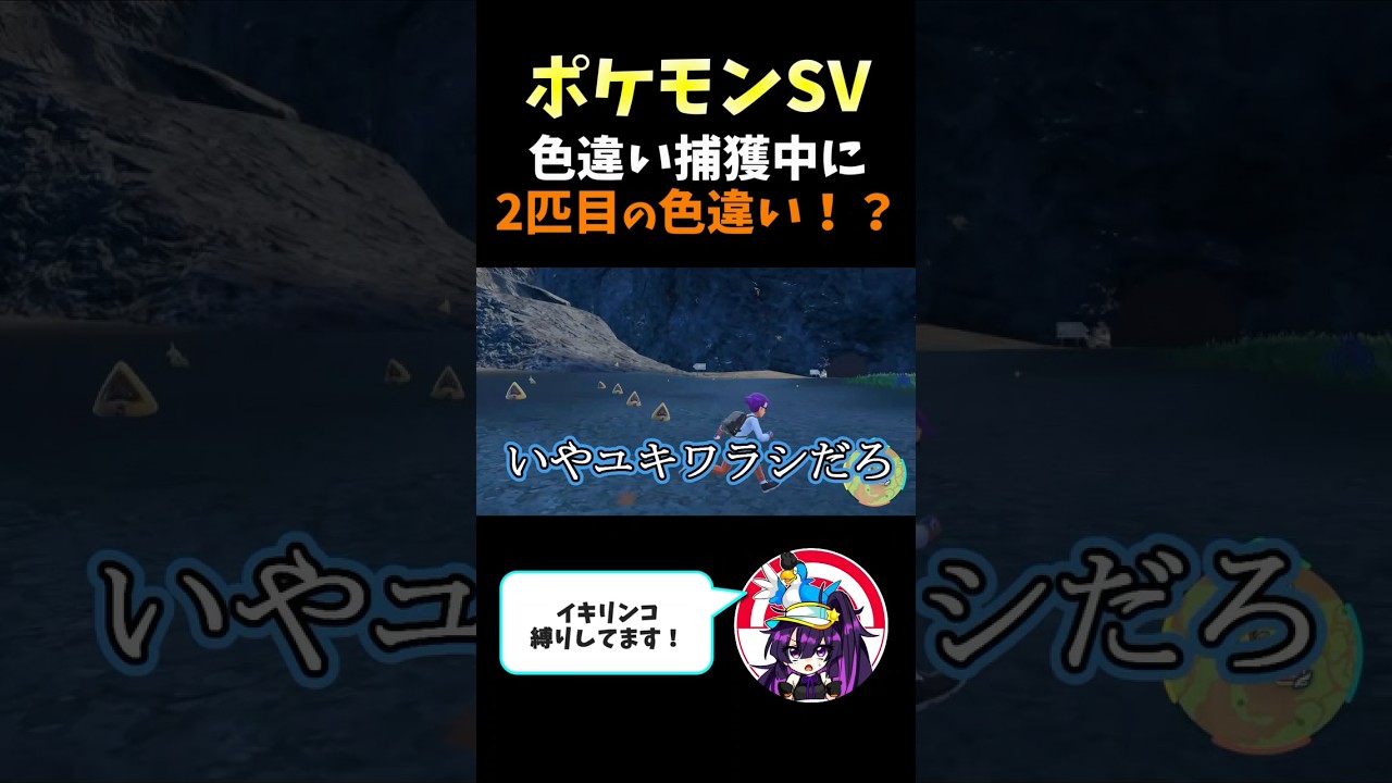 【ポケモンSVショート】2匹目の色違い！？　#ポケモンsv #色違い  #shorts  #ユキワラシ