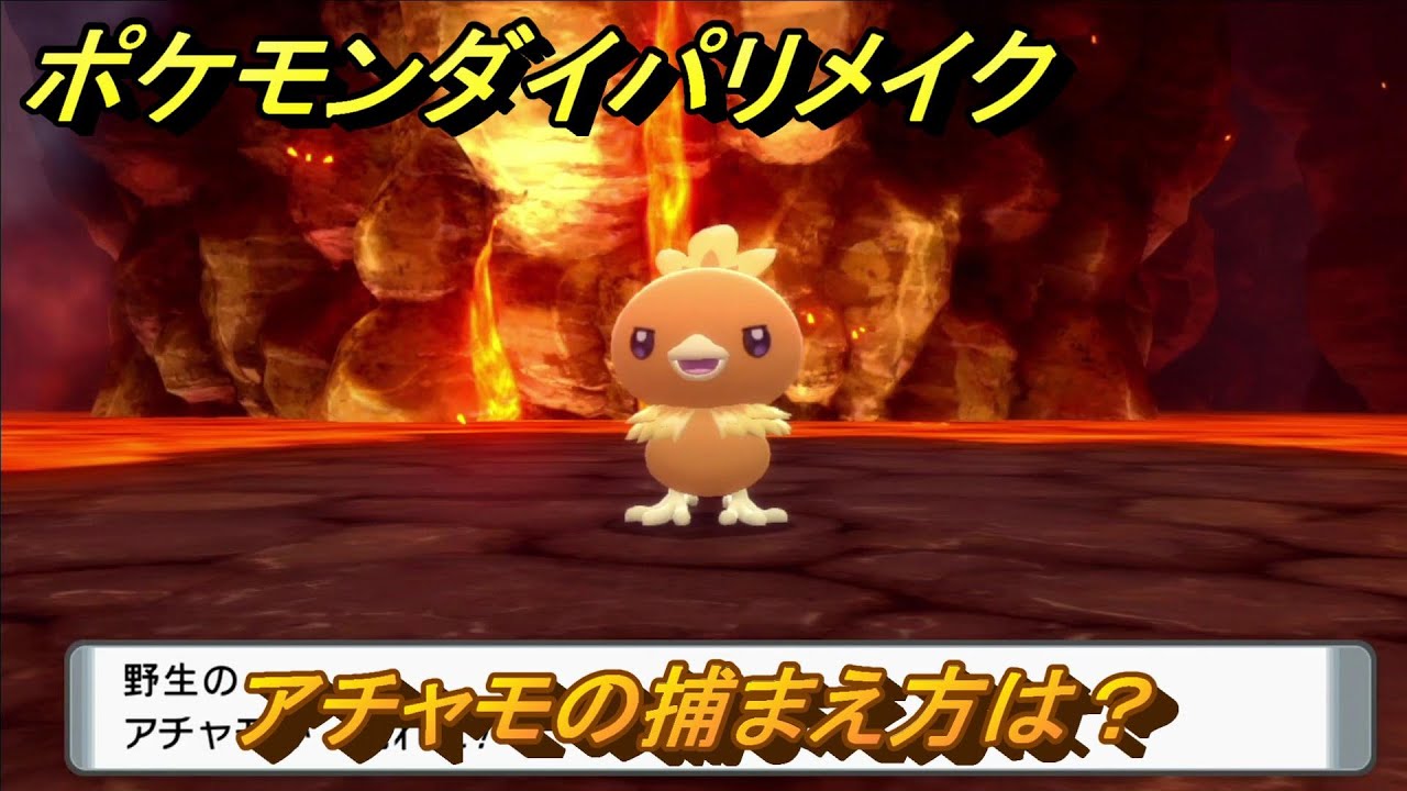 ポケモンダイパリメイク　アチャモの捕まえ方は？出現場所は？　最新版【ブリリアントダイヤモンド・シャイニングパール】