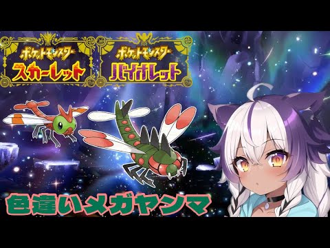 【ポケモンSV】色違いヤンヤンマ → メガヤンマ【ポケットモンスタースカーレットバイオレット】