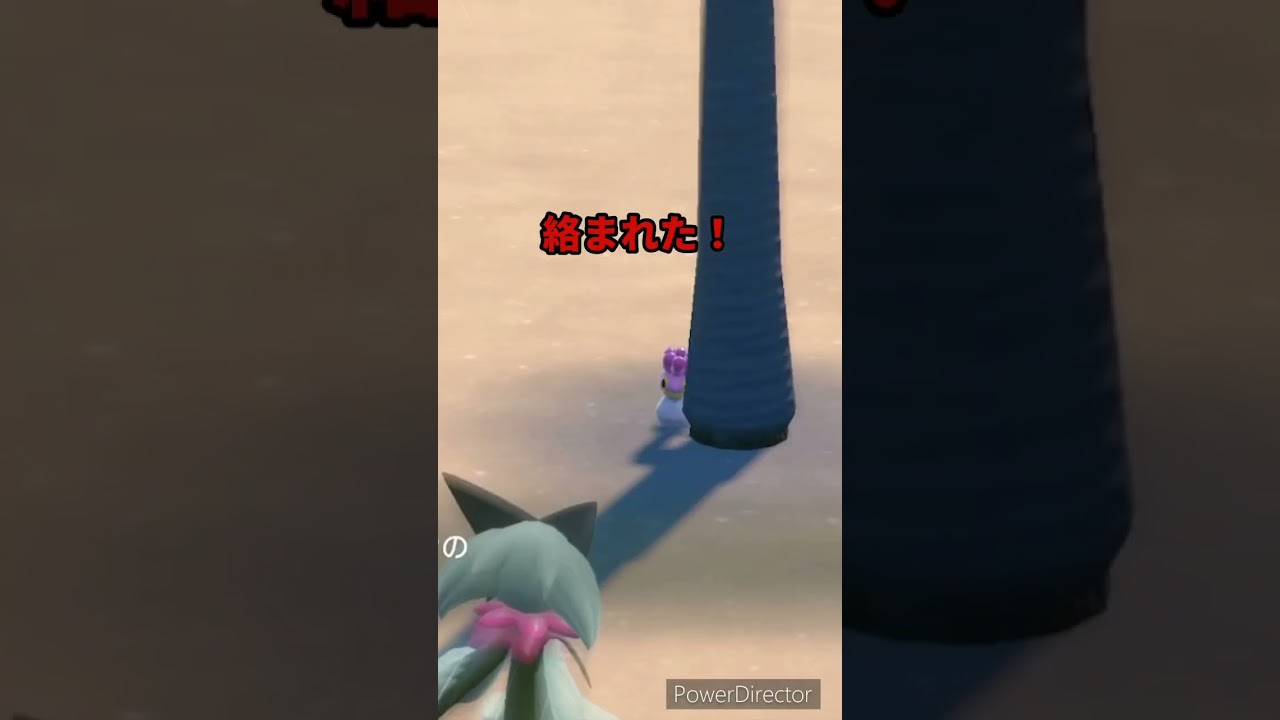【ポケモンバイオレット】木の影からカラナクシ　#ポケモンバイオレット #ゲームリハビリ #shorts