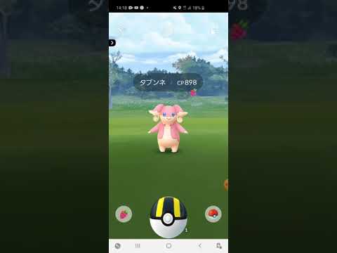 タブンネ捕まえました！！