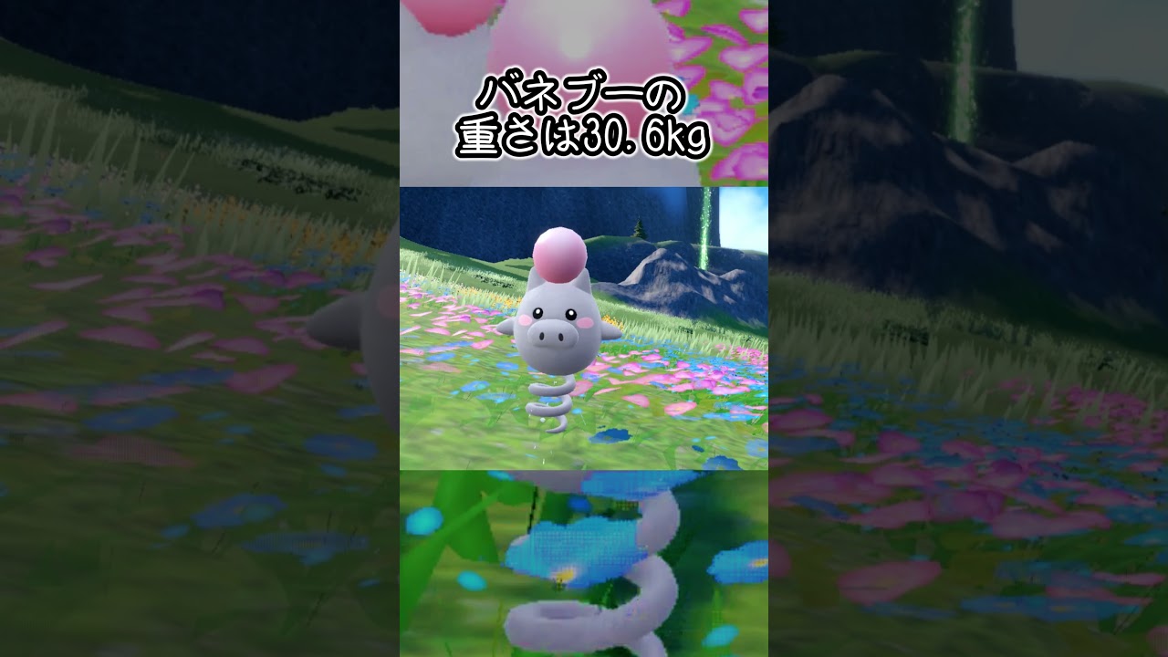 【疲れた人向け】バネブー6匹とピクニック【ポケモンSV】#Shorts