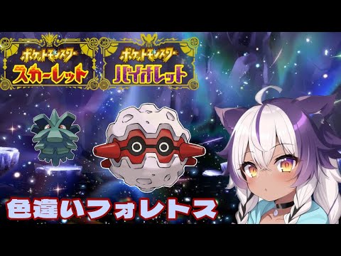 【ポケモンSV】色違いクヌギダマ → フォレトス【ポケットモンスタースカーレットバイオレット】