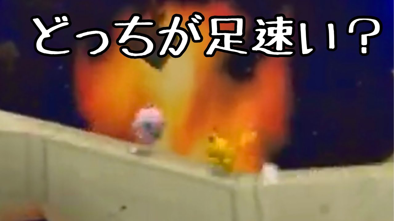 かわいいポケモンのかけっこ勝負　プリンVSピカチュウ【スマブラ64】