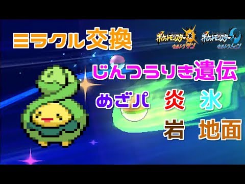 【ポケモンUSUM】いろんなスボミーをミラクル交換で流します