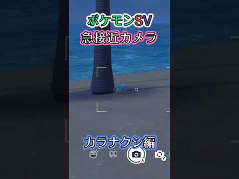 【ポケモンSV】カラナクシがさざ波を聞きながら木陰でｽﾔｽﾔ寝ている様子を眺めるだけの動画 #ポケモン #ポケモンsv #カラナクシ #shorts