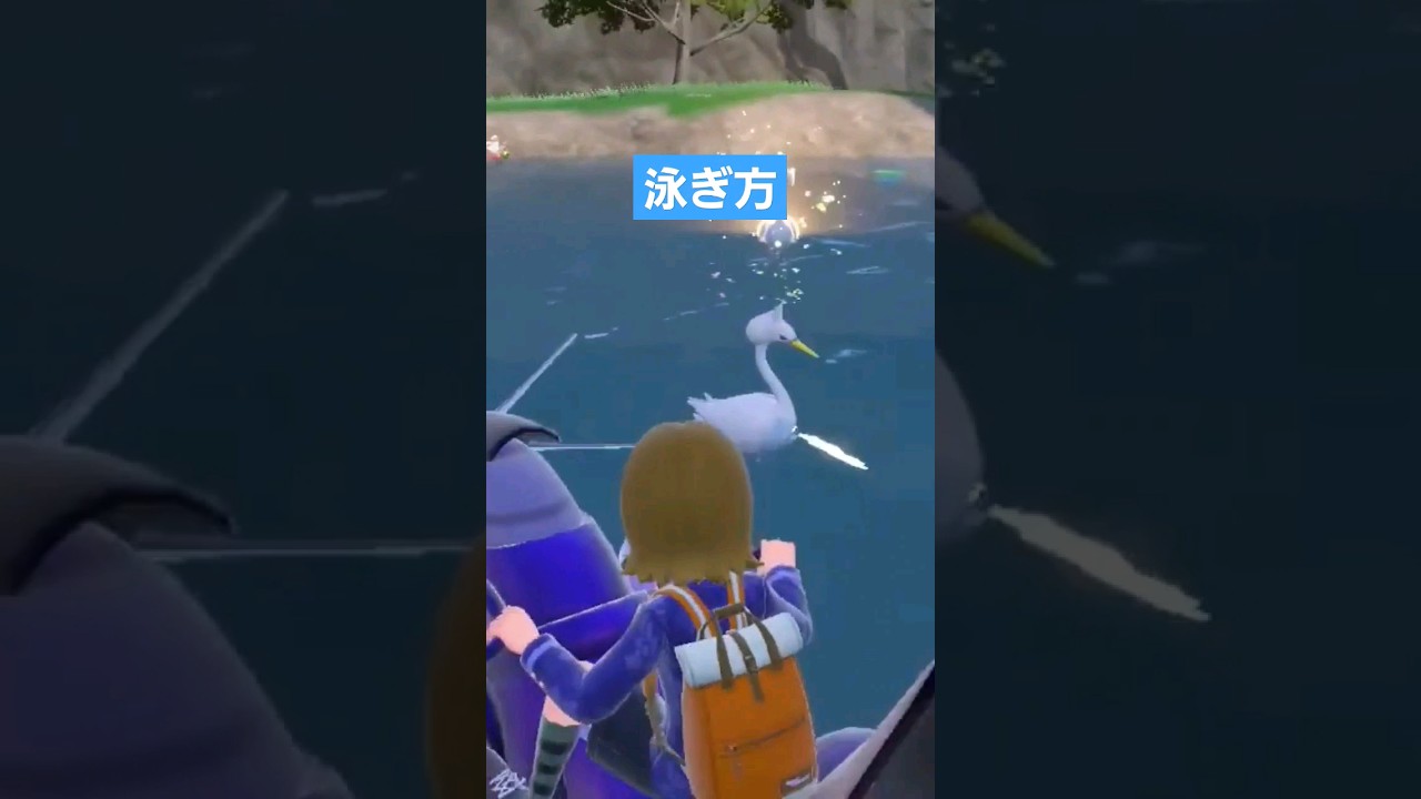 【ポケモンsv】スワンナの泳ぎ方がなんかカワイイ笑 #ポケモンsv #ポケモンスカーレットバイオレット