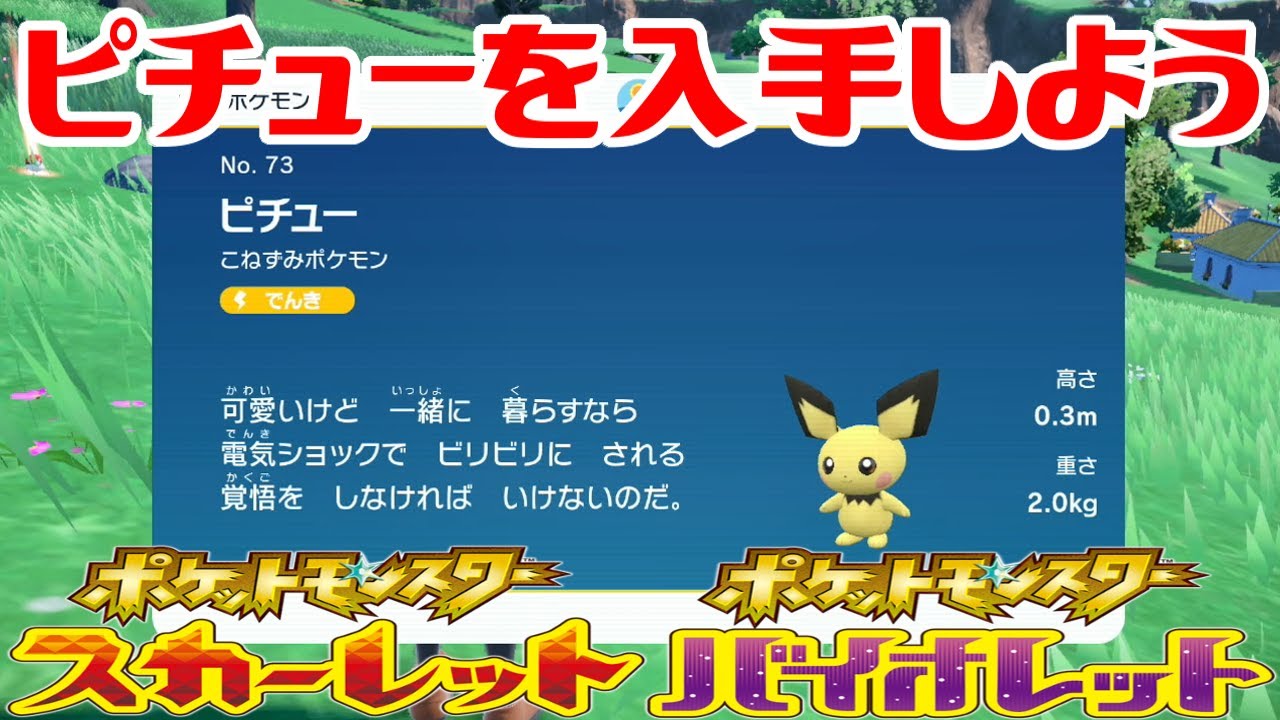【ポケモンSV】ピチューを入手しよう【ポケットモンスター スカーレット・バイオレット】Pocket Monsters