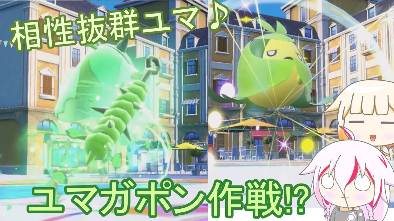 くるまり仲間のオーガポンとクルマユの相性は抜群??【ポケモンSV】