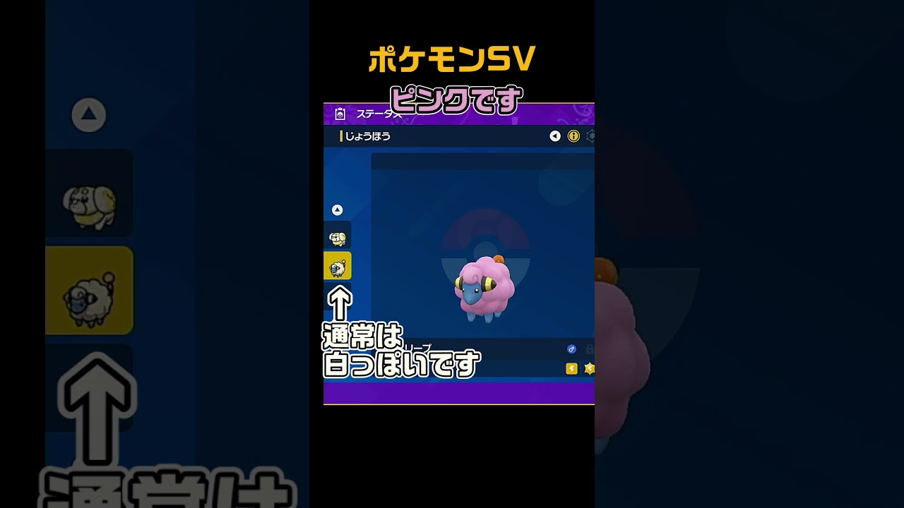 色違いメリープ　#shorts　ポケモンSV