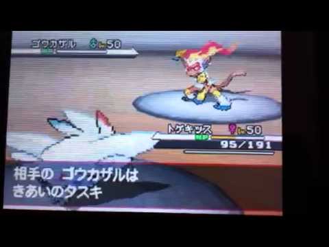 ポケモンBW トゲキッス 3タテ