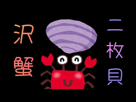 【ポケとる】シェルダー・パルシェン・クラブ・キングラーGET！！