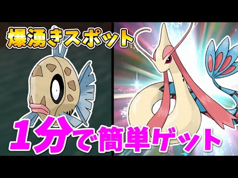 【ポケモンSV】今すぐ手に入る！ヒンバス・ミロカロスを簡単入手する方法と出現場所
