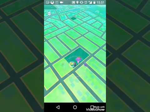 イベ初日　丘珠でベイリーフとバトル？おまけ(10キロタマゴ)　ポケモンgo 札幌