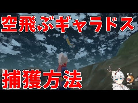 最序盤に登場する「空飛ぶギャラドス」を捕獲！！圧倒的なステータス、居場所等解説！【Pokémon LEGENDS アルセウス】