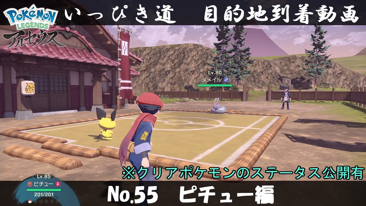【いっぴき道攻略】No.55 ピチュー編【Pokémon LEGENDS アルセウス】