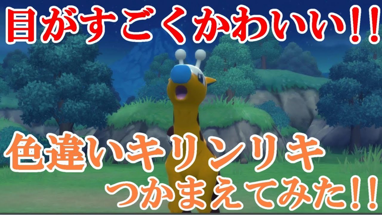 【ダイパリメイク】目がすごくかわいい！！色違いキリンリキつかまえてみた！！