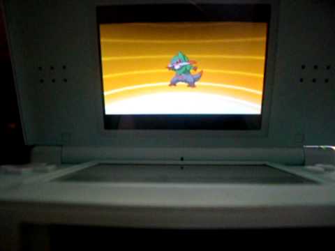 ポケットモンスターホワイト　オノンド進化