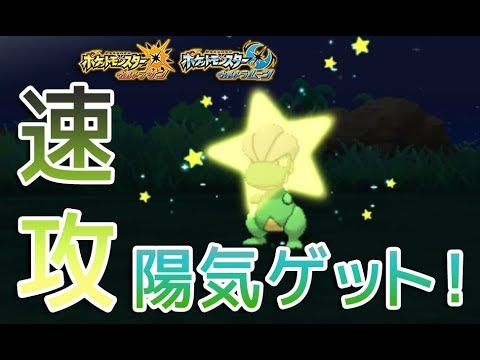 【ポケモンUSUM】色違いタツベイをGETしてみた【Shiny Bagon】