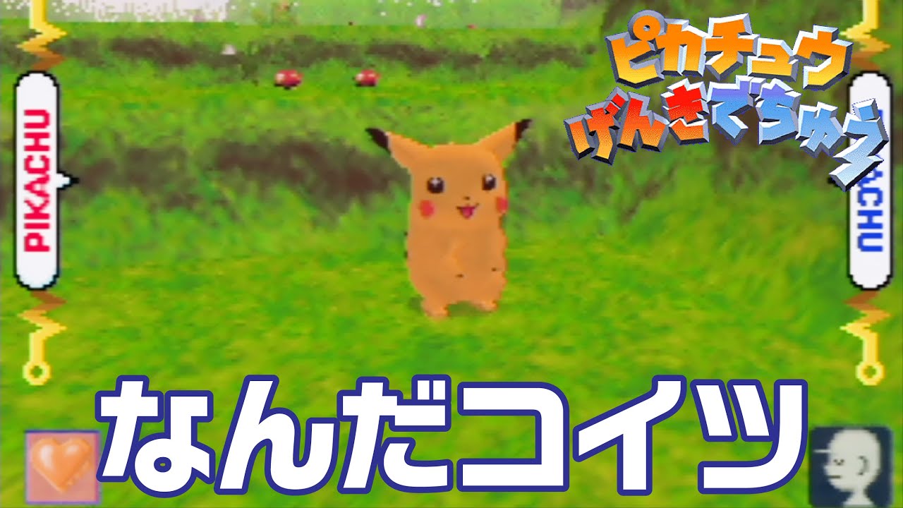 マジで全然話通じない【ピカチュウげんきでちゅう】