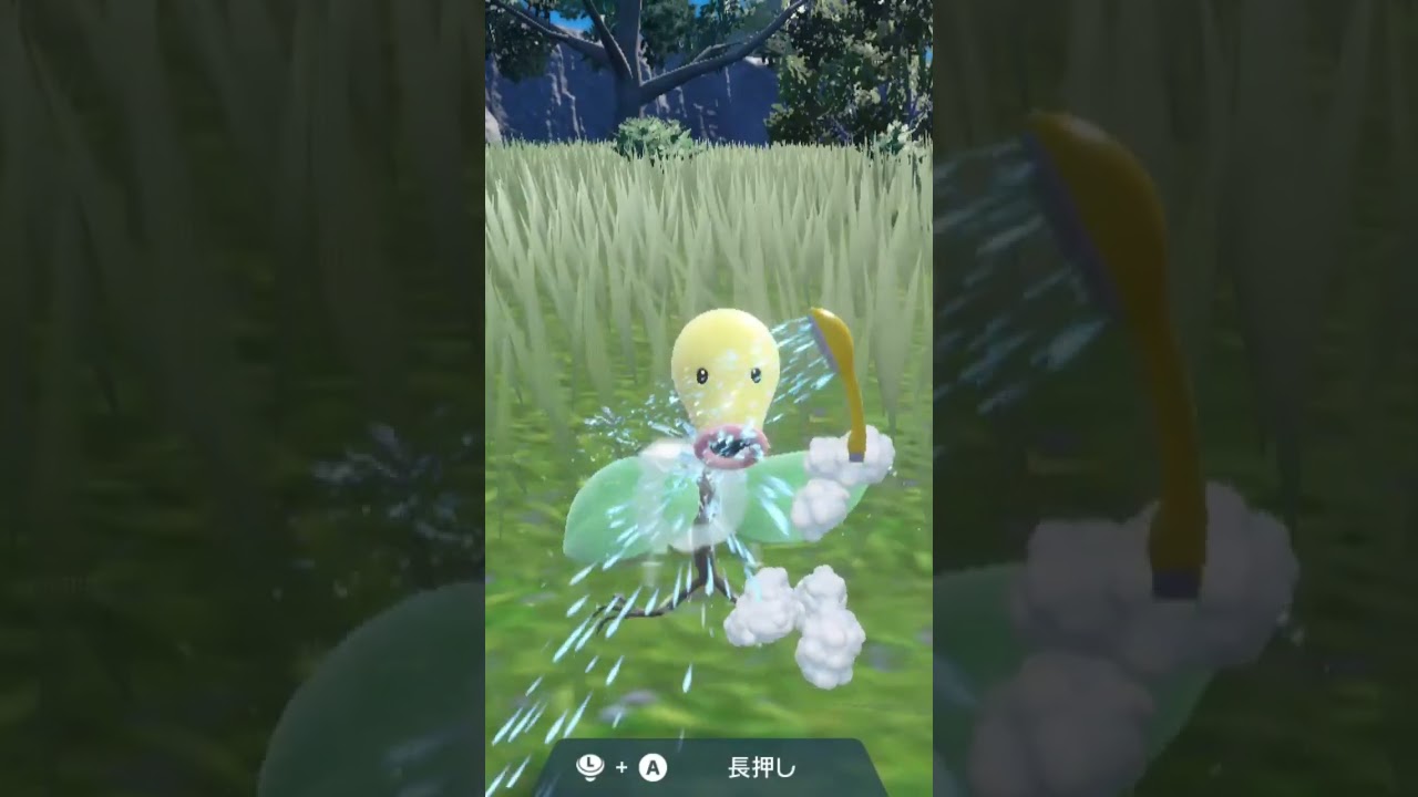 マダツボミ Bellsprout【ポケモンsv】