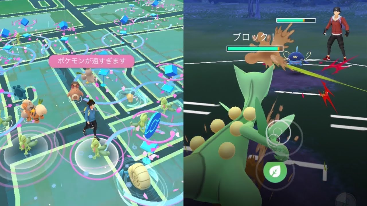 【ポケモンGO】個体値100％ゲット！キモリのコミニティデイ！【Pokemon GO】