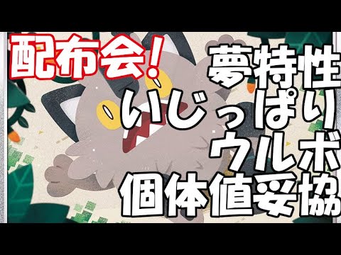 【概要欄必読】ウルボ入り夢ガラルニャース配布会【ポケモンSV】#ポケモン配布