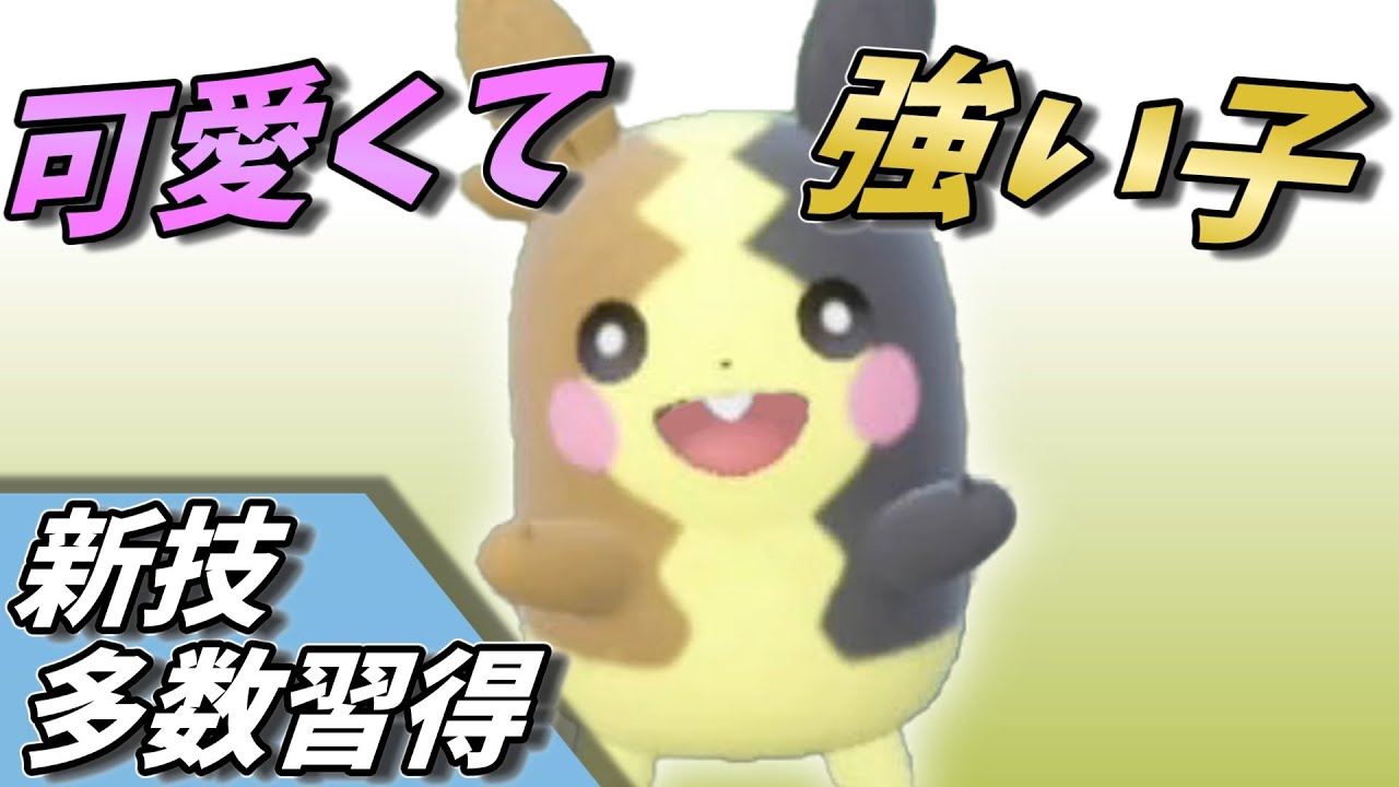 【ポケモンSV】新技習得で面白い動きができるようになったモルペコさんが普通に強かった！【ゆっくり実況】【スカーレットバイオレット】