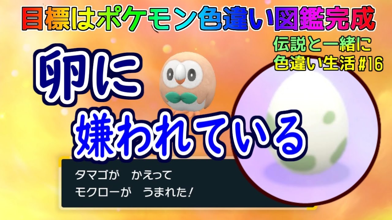 モクロー色違い厳選～卵孵化って大変ですね【伝説と一緒に色違い生活＃16】