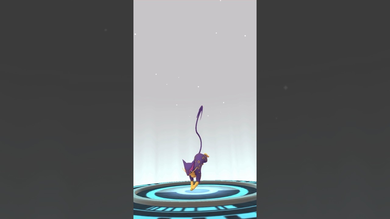 【 ポケモンgo 】 チョロネコ → レパルダス 〜このシルエット、フォルムがしなやかで好き！【 うさぴよの巣 】#pokémongo #ポケモンgo #purrloin #liepard