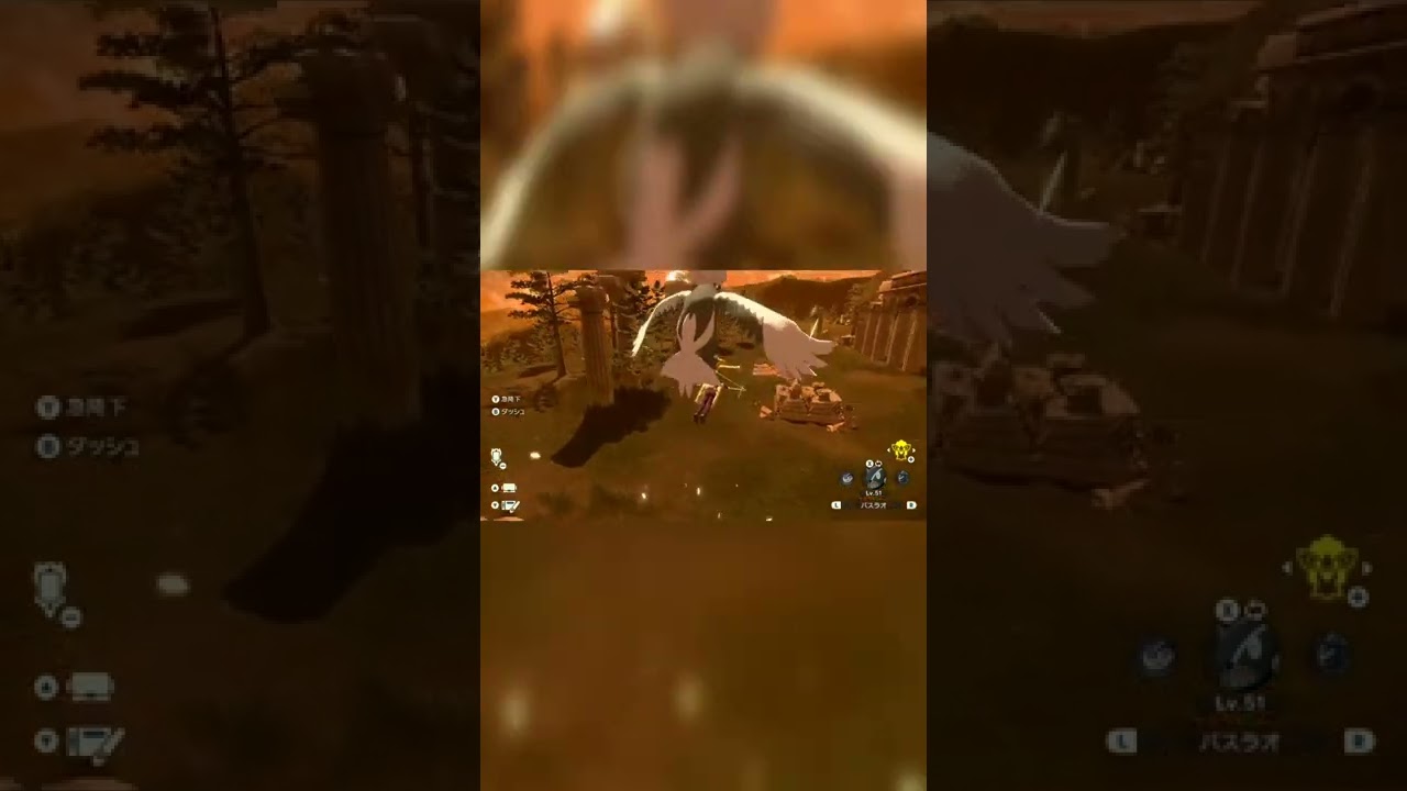 色違いルクシオ発見【ポケモンレジェンズアルセウス Pokémon Legends Arceus 】#shorts #ポケモンレジェンズアルセウス #pokemonlegendsarceus