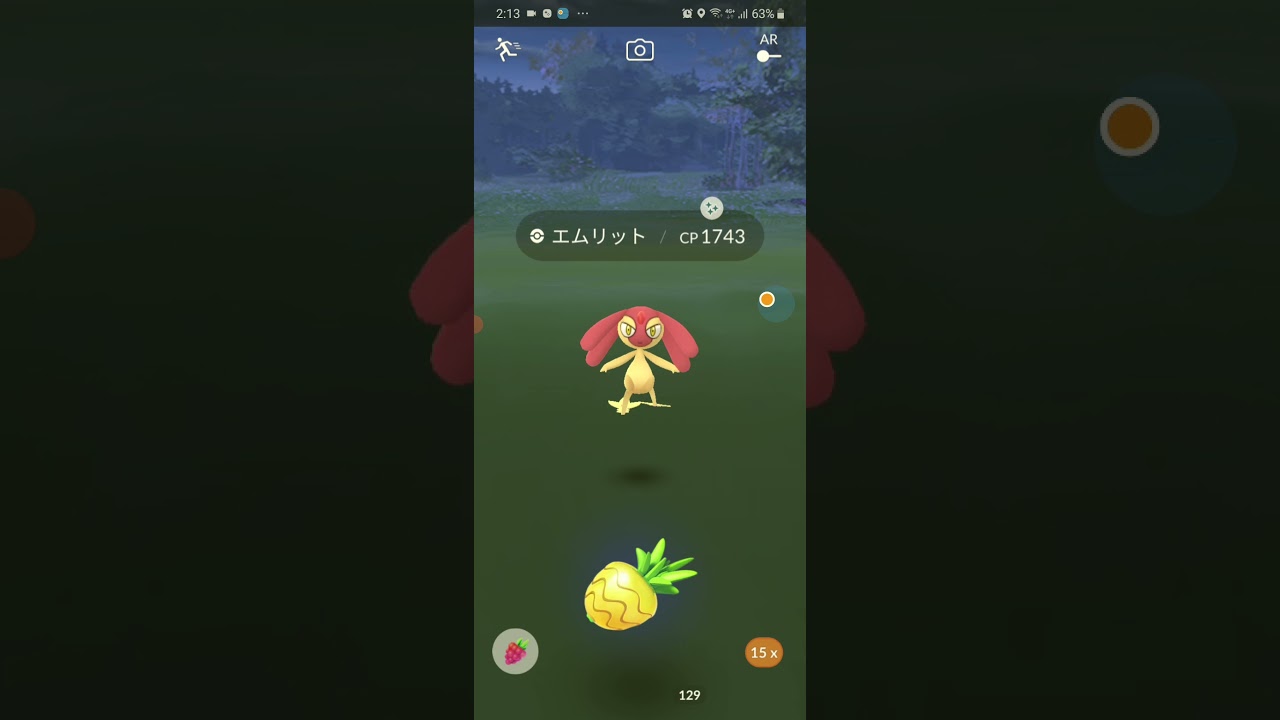 エムリット色違い
