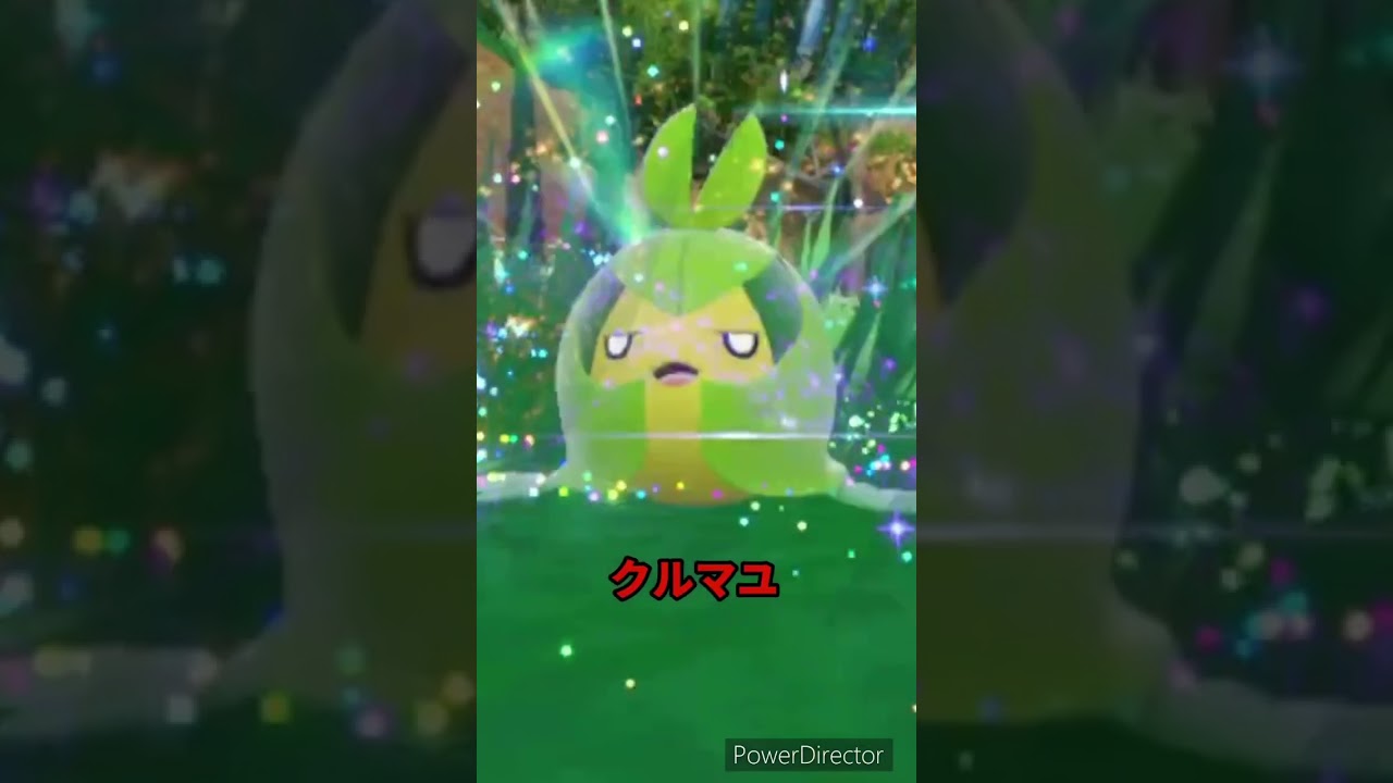 【ポケモンバイオレット】進化　クルミル→クルマユ　#ポケモンバイオレット #ポケモンバイオレット #shorts