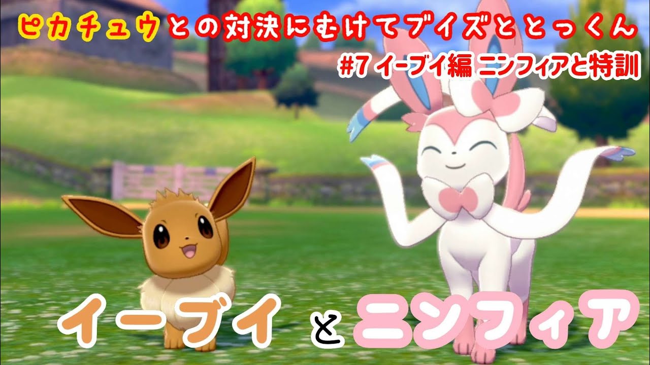 イーブイとニンフィア♪ イーブイ ニンフィア ピカチュウ 【ピカVSブイ】