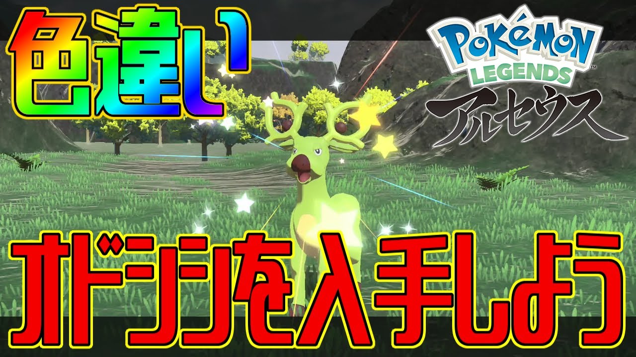 【ポケモンアルセウス】色違いオドシシを入手しよう【Pokémon LEGENDS アルセウス】