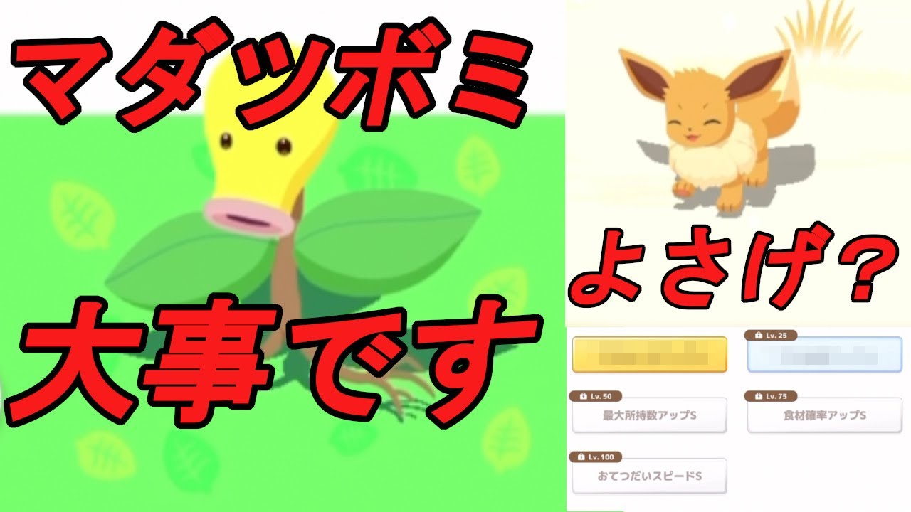 マダツボミの重要性に気付いた今日この頃【ポケモンスリープ】