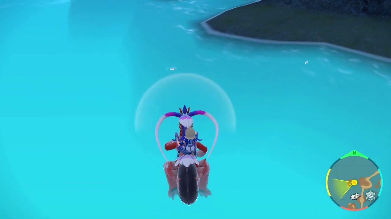 シビシラス　色違い