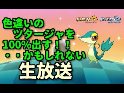 【ポケモンUSUM】色違いのツタージャを100％出す！かもしれない生放送