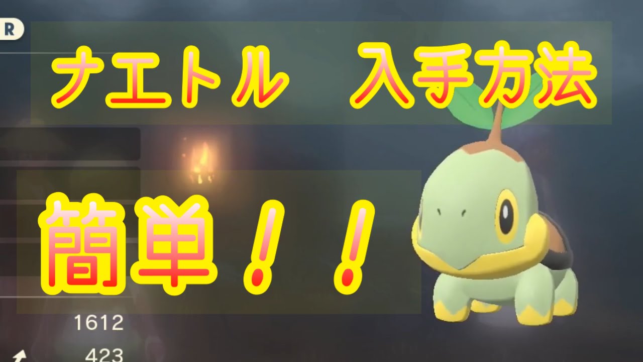 【Pokémon LEGENDS アルセウス】ナエトル入手方法　攻略動画