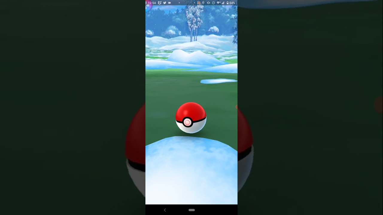 2022.12.26.のポケモンgoのカチコール