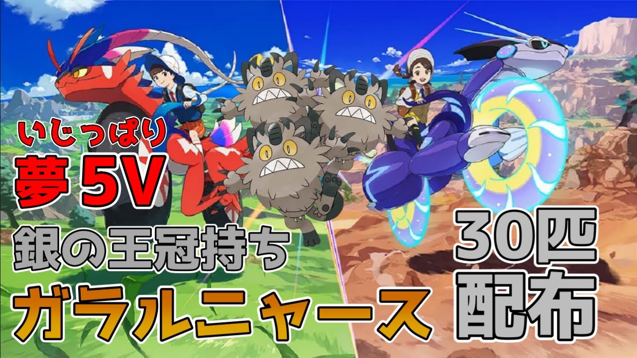 【銀の王冠持ち】夢5Vいじっぱりガラルニャース配布【ポケモンSV】
