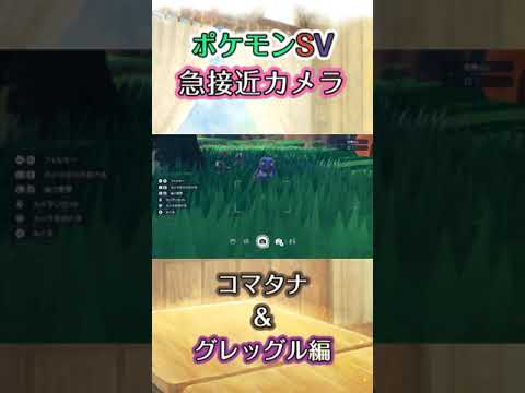 【ポケモンSV】コマタナとグレッグルが戦隊もののようにこちらへとかっこよく向かってくるだけの動画 #ポケモン #ポケモンsv #コマタナ #グレッグル #shorts