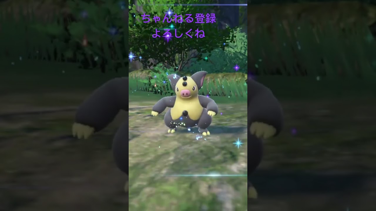 自然遭遇した色違いバネブー進化させてみた#ポケモン #ポケモンsv #gameplay #pokemon #shiny #色違い